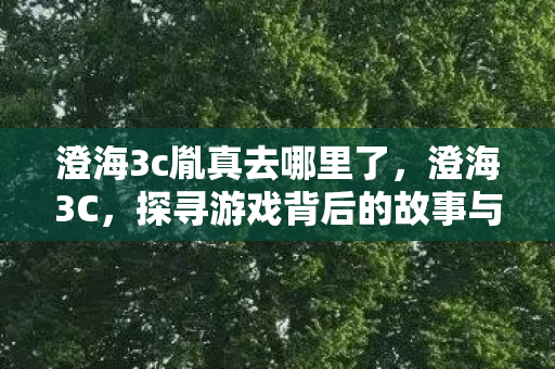 探寻游戏背后的故事与人物图片