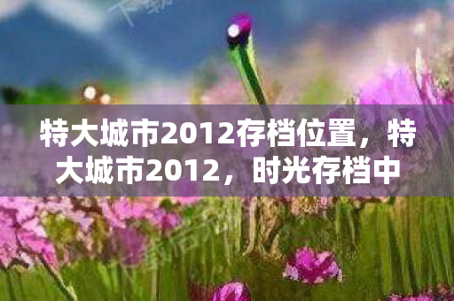 特大城市2012存档位置图片