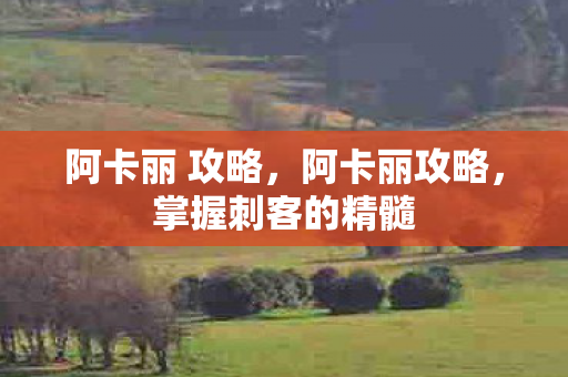 掌握刺客的精髓图片