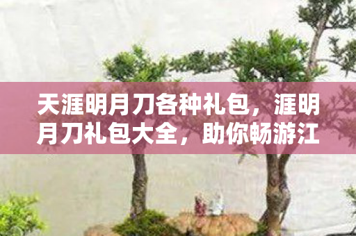 助你畅游江湖的必备指南图片