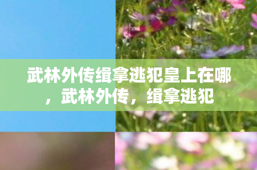 武林外传缉拿逃犯皇上在哪图片