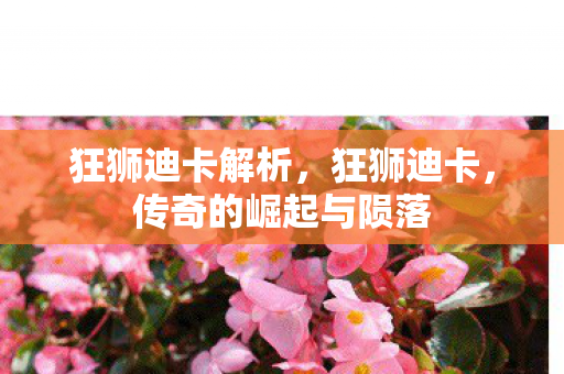 传奇的崛起与陨落图片