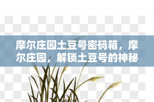 摩尔庄园土豆号密码箱图片