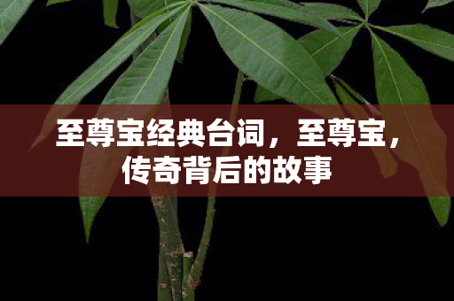 至尊宝经典台词，至尊宝，传奇背后的故事