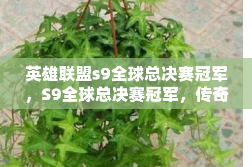 英雄联盟s9全球总决赛冠军，S9全球总决赛冠军，传奇背后的故事