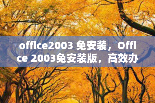 office2003 免安装，Office 2003免安装版，高效办公的便捷选择