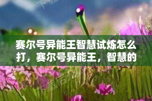 赛尔号异能王智慧试炼怎么打，赛尔号异能王，智慧的力量