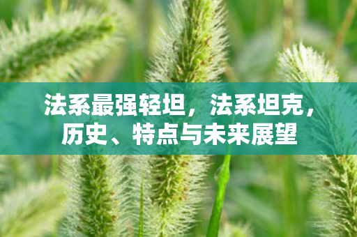 特点与未来展望图片