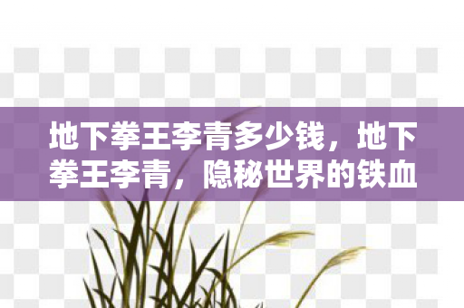 地下拳王李青多少钱图片