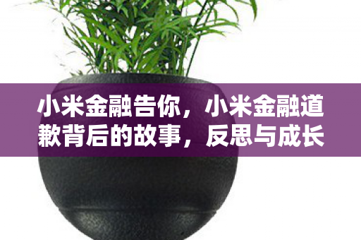 小米金融告你，小米金融道歉背后的故事，反思与成长之路