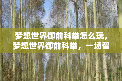 梦想世界御前科举怎么玩图片