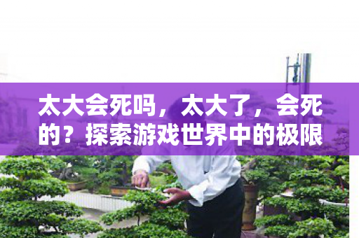 探索游戏世界中的极限与平衡图片