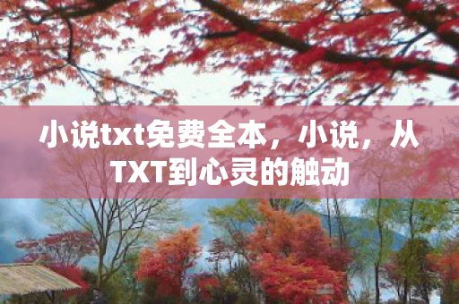 从TXT到心灵的触动图片