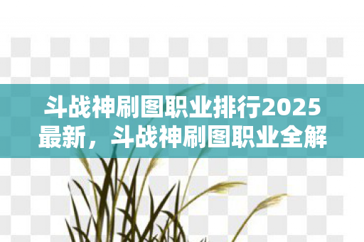 斗战神刷图职业排行2025最新图片
