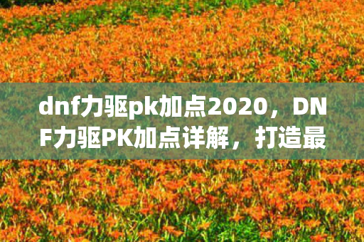 dnf力驱pk加点2020图片