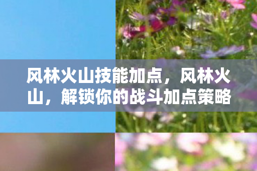 解锁你的战斗加点策略图片