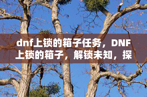 dnf上锁的箱子任务图片