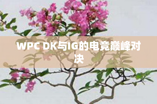 WPC DK与IG的电竞巅峰对决