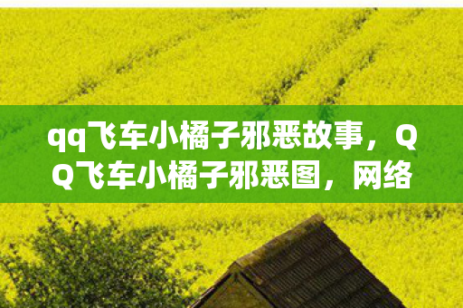 qq飞车小橘子邪恶故事图片