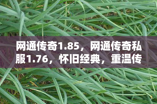 网通传奇私服1图片