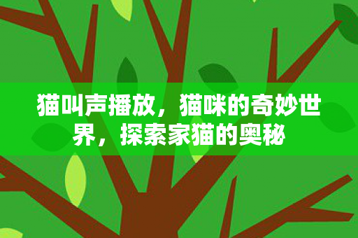 猫咪的奇妙世界图片