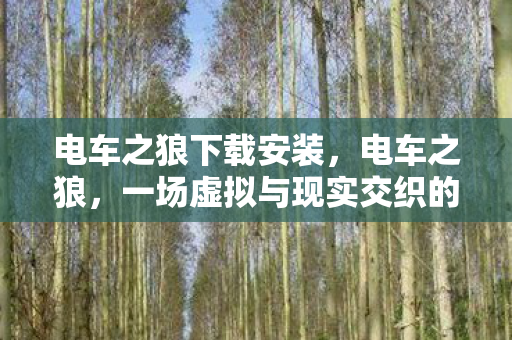 一场虚拟与现实交织的冒险图片