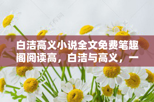 白洁高义小说全文免费笔趣阁阅读高图片