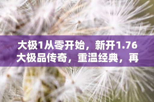 大极1从零开始图片