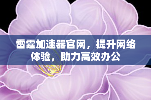 雷霆加速器官网图片