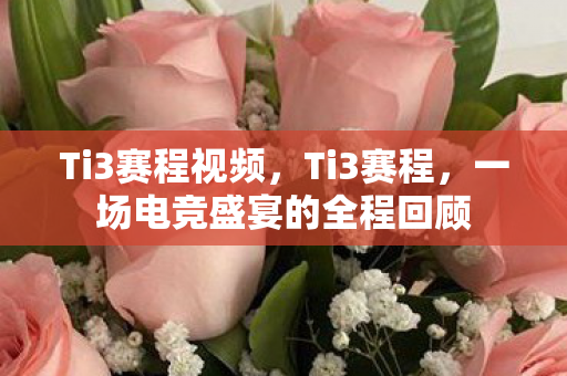Ti3赛程视频，Ti3赛程，一场电竞盛宴的全程回顾