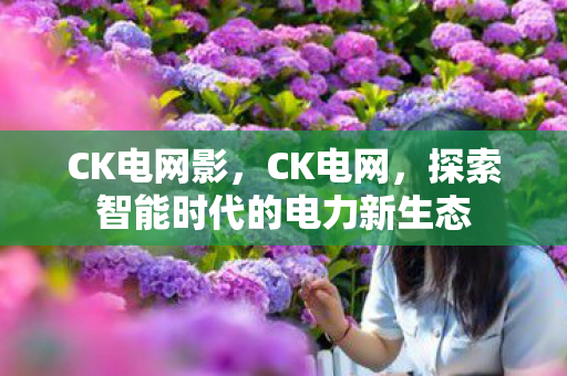 探索智能时代的电力新生态图片