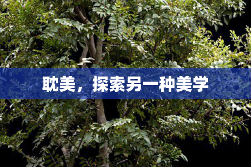 探索另一种美学图片