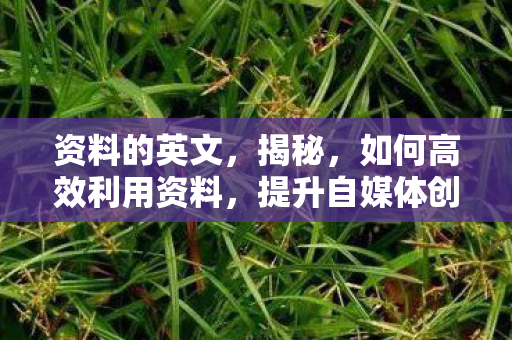 提升自媒体创作质量图片