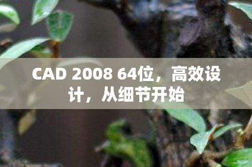 CAD 2008 64位图片