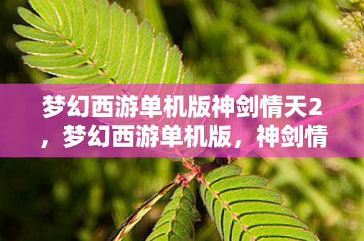 梦幻西游单机版神剑情天2图片