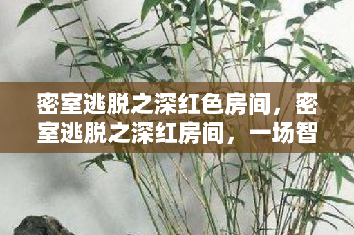 密室逃脱之深红色房间图片