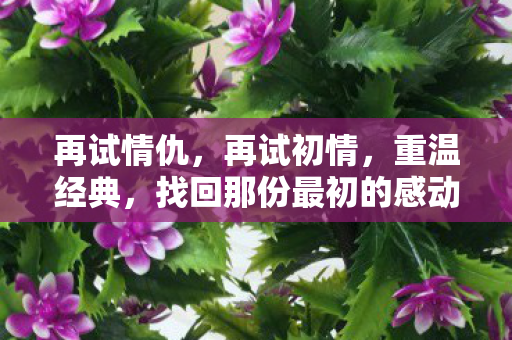 找回那份最初的感动图片