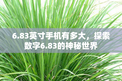 83英寸手机有多大图片