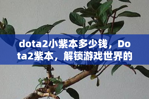 dota2小紫本多少钱图片