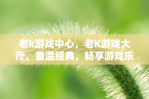 老k游戏中心图片