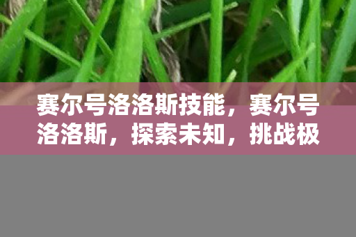 赛尔号洛洛斯技能图片