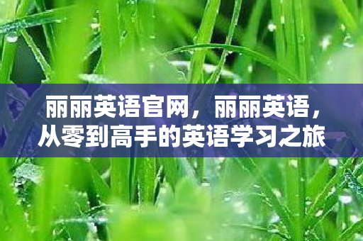 从零到高手的英语学习之旅图片