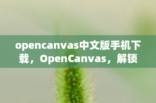 opencanvas中文版手机下载图片