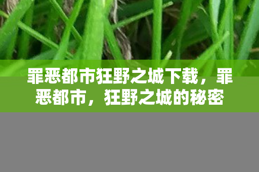 罪恶都市狂野之城下载图片