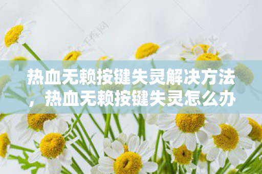 热血无赖按键失灵解决方法图片