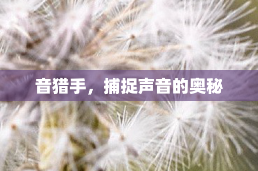 捕捉声音的奥秘图片