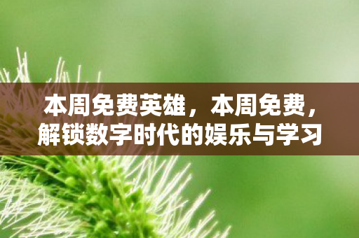 解锁数字时代的娱乐与学习资源图片