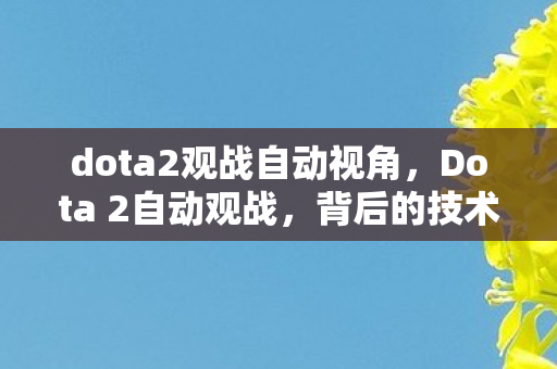 dota2观战自动视角，Dota 2自动观战，背后的技术逻辑与玩家体验探讨