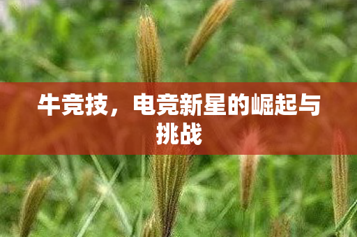 电竞新星的崛起与挑战图片