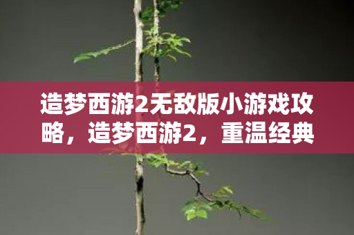 造梦西游2无敌版小游戏攻略图片